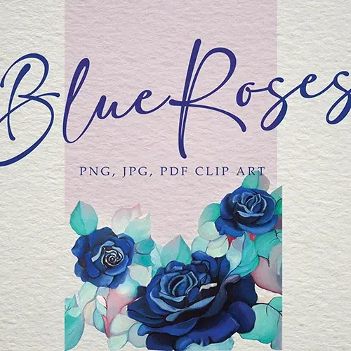 Blue Roses